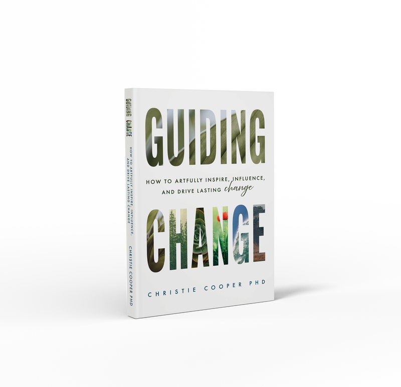 Guiding Change: How to Artfully Inspire, Influence, and Drive Lasting Change ebook